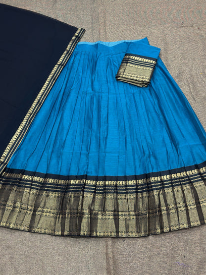 Traditional Lehenga Choli With Dupatta