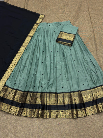 Traditional Lehenga Choli With Dupatta