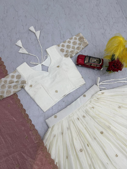 Designer Ready To Wear Lehenga Choli With Dupatta