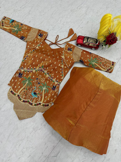 Designer Ready To Wear Lehenga Choli