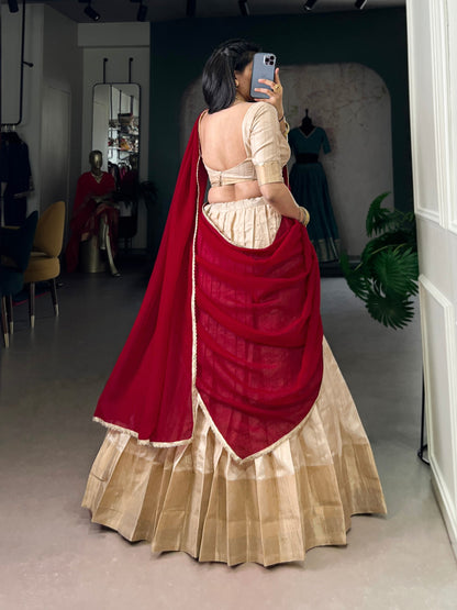 Zari Waving Lehenga Choli